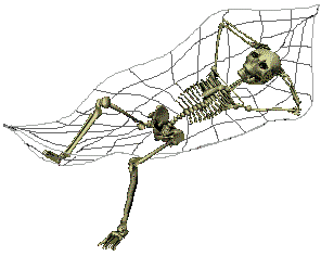 Ce squelette dans un hamac a fait trop de régimes !